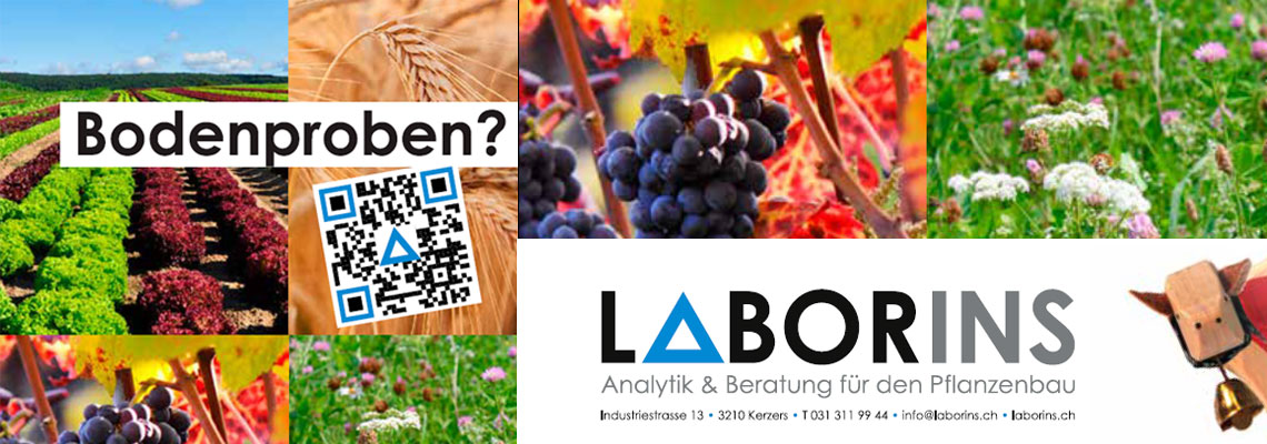Laborins