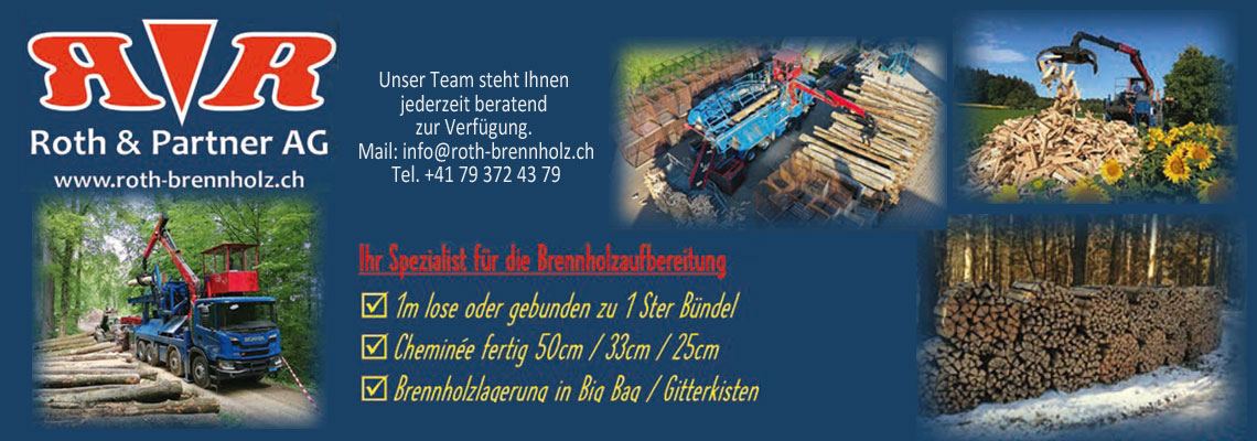 Roth & Partner Brennholz1